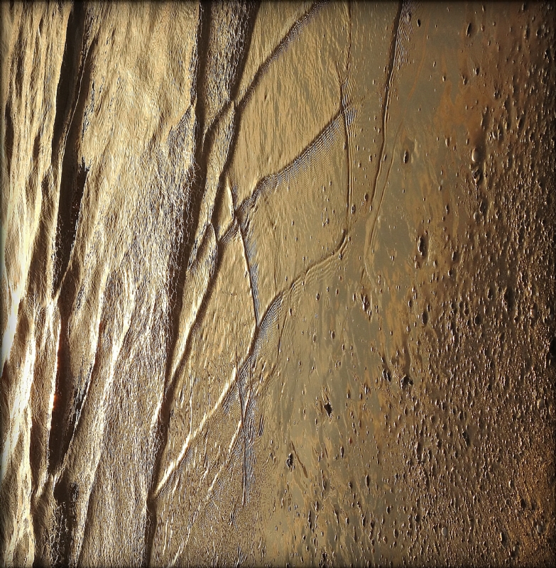 נאוה פמיליה