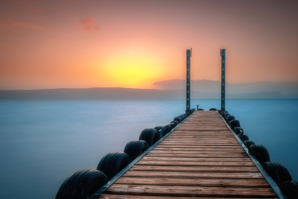 צילום: ראיד עומר