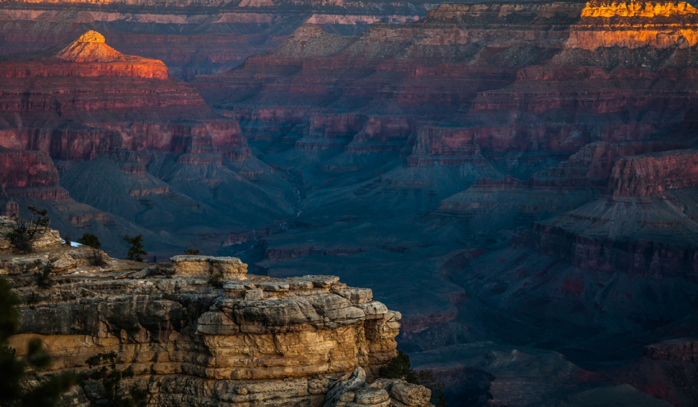 ג׳ורג׳ו פוביני