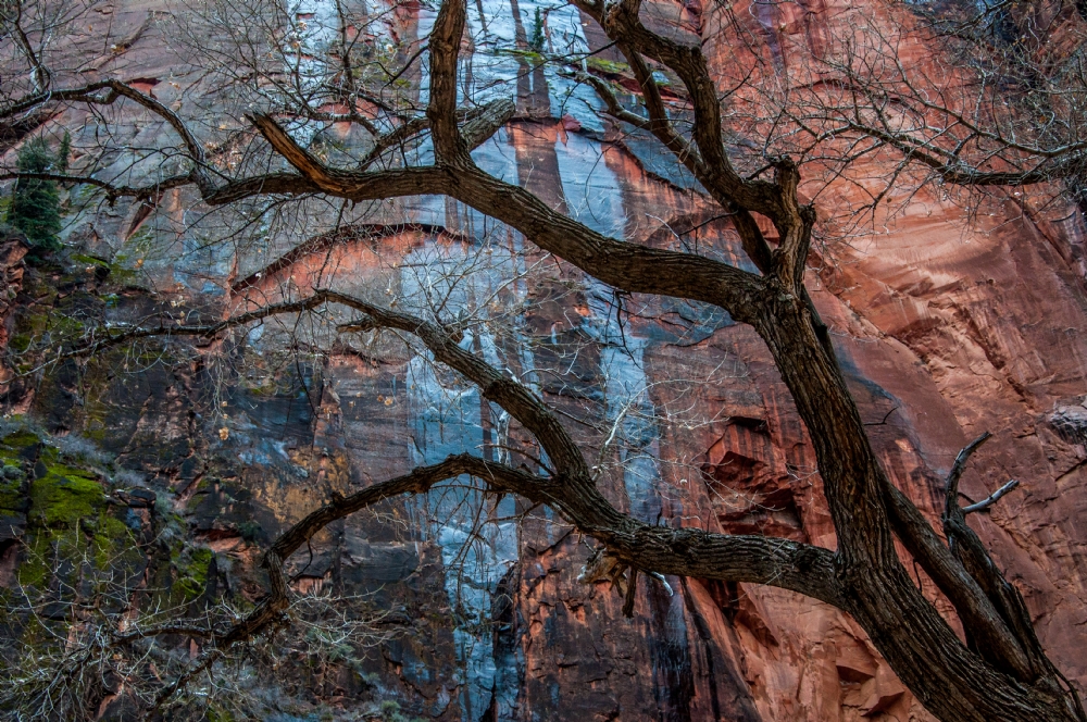 ג׳ורג׳ו פוביני