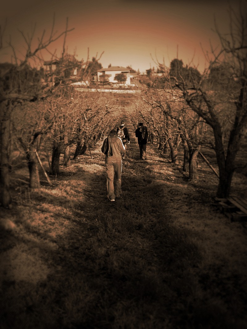 נועה בן שבת