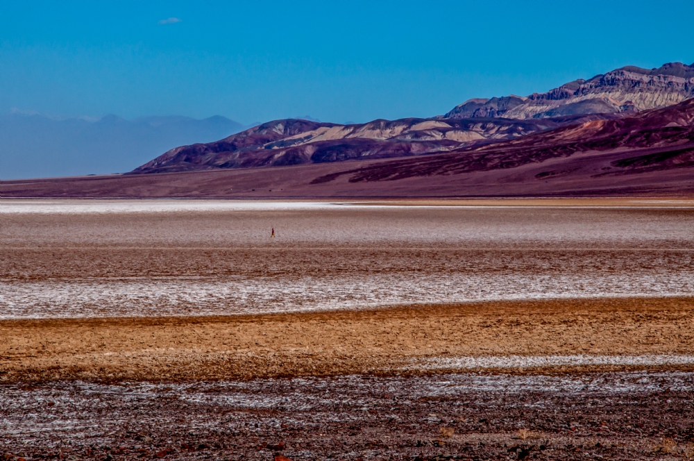 ג׳ורג׳ו פוביני