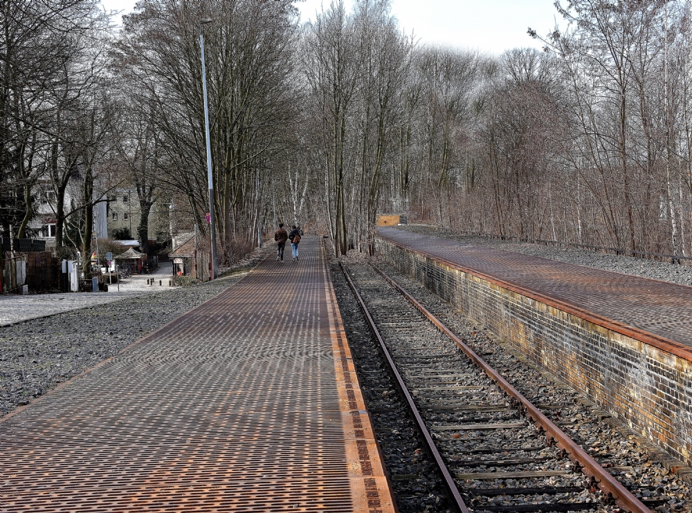 פיני  אביבי