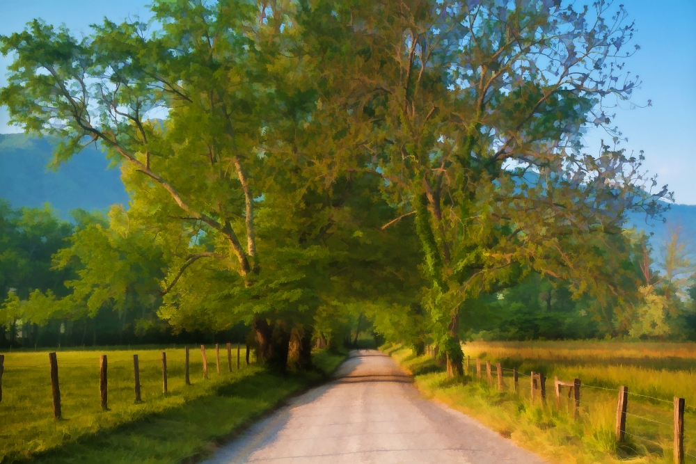 מיכאל  בן–הרוש