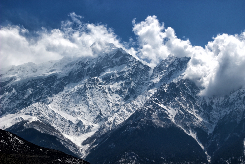 דרורה  בהרל 