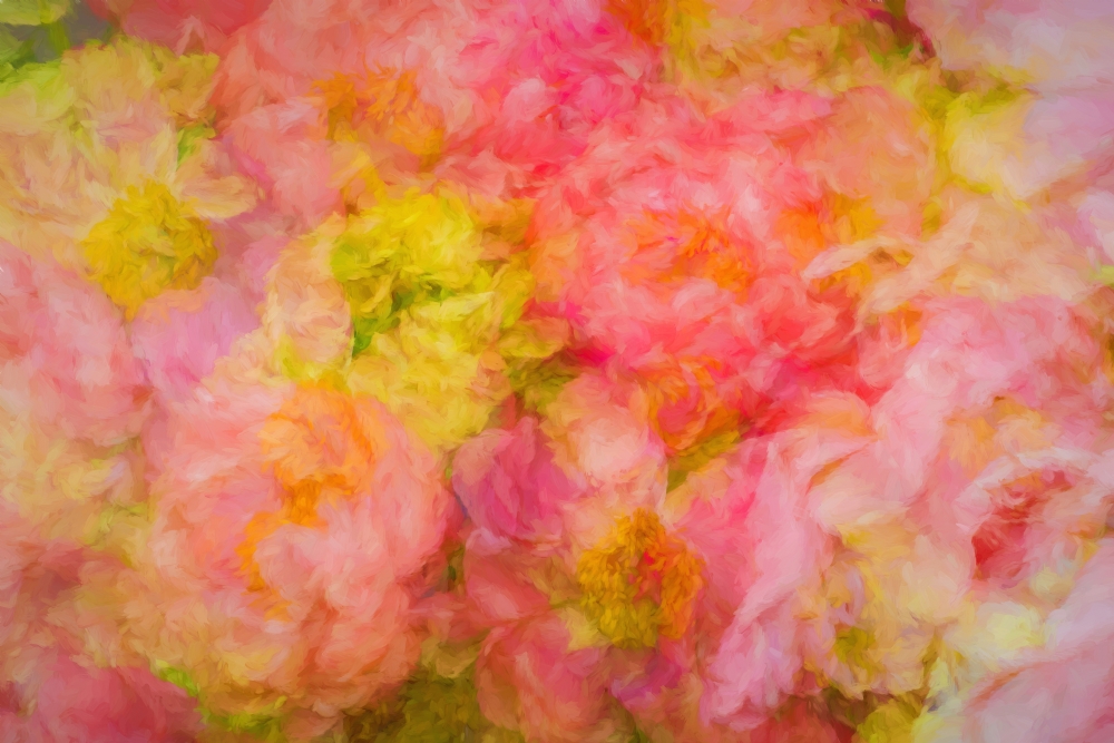 מיכאל  בן–הרוש