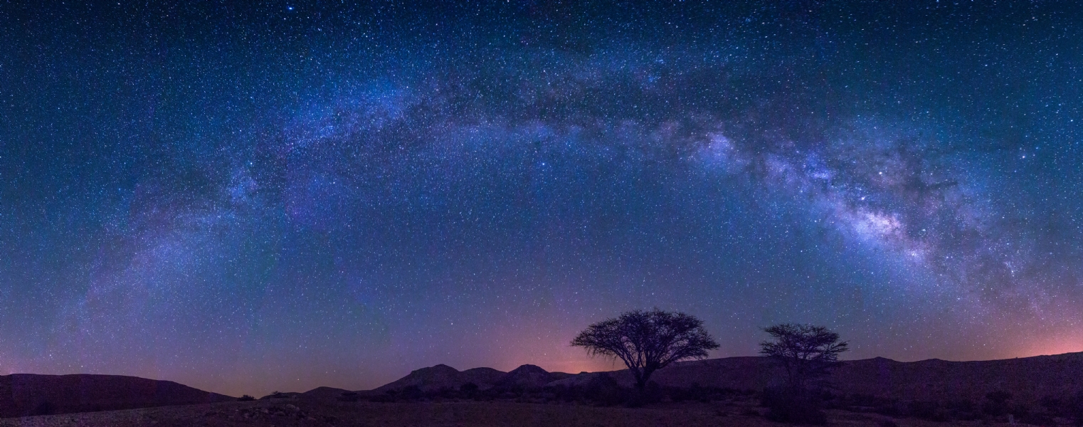 צילום: ראיד עומר