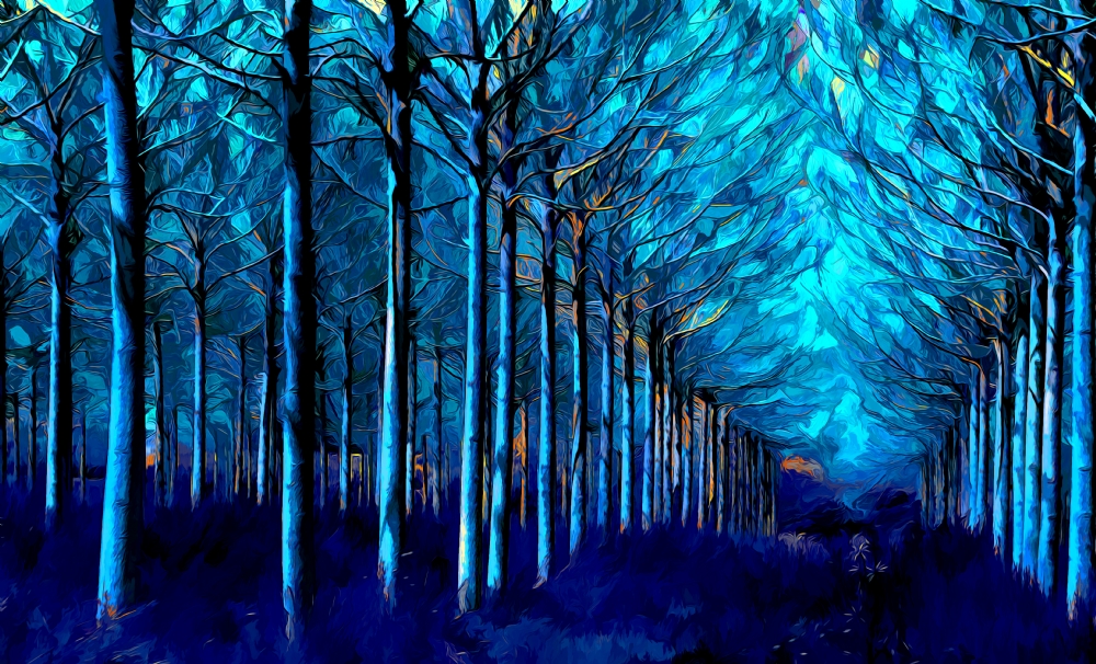 צילום: אורית גפני