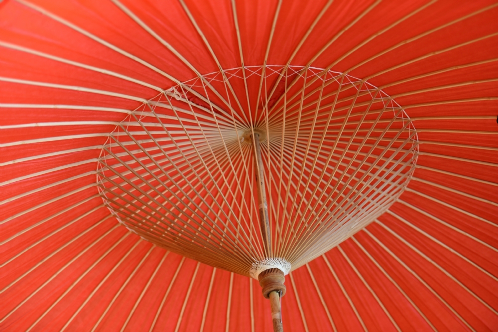 אהוד אורינובסקי