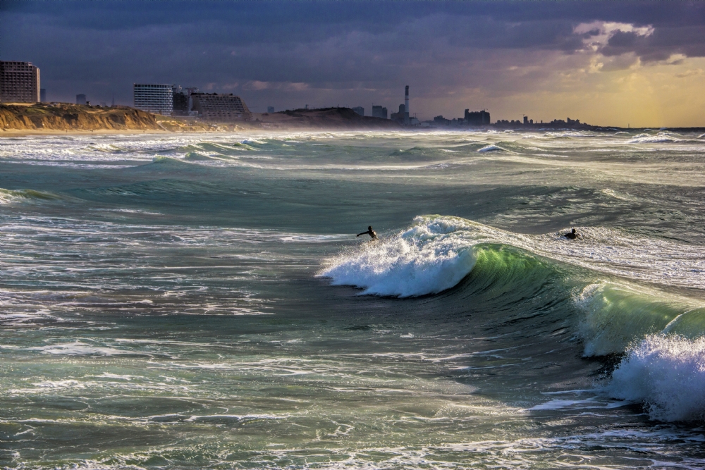 צביקה שיאון