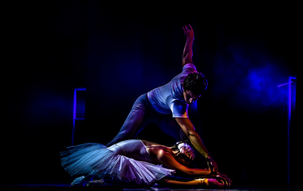 צילום: גיל עד