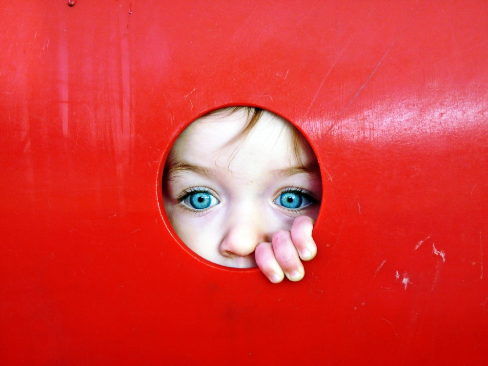 יואל ויסלוב