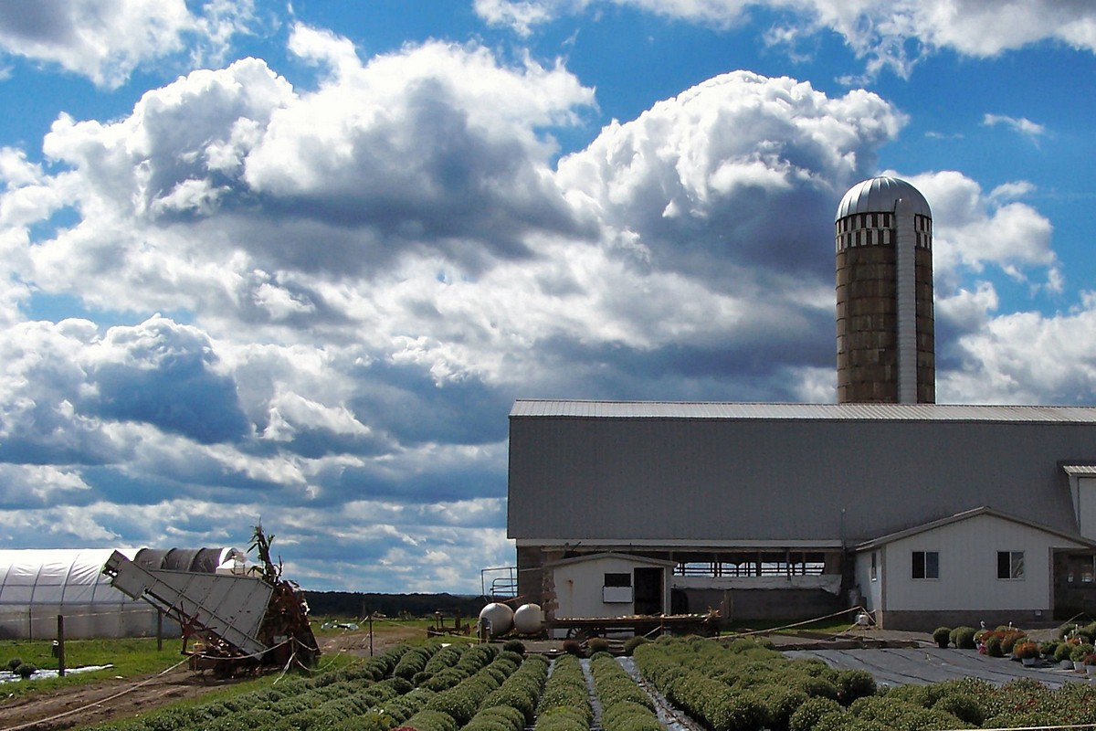 שמיים כחולים