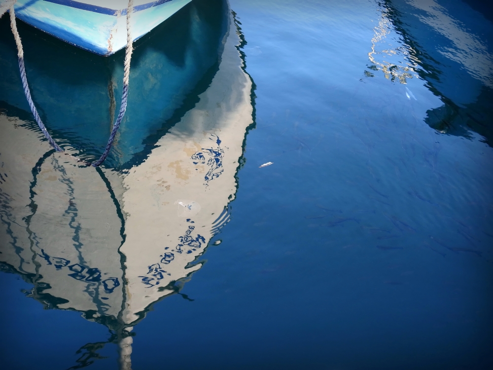 נאוה פמיליה