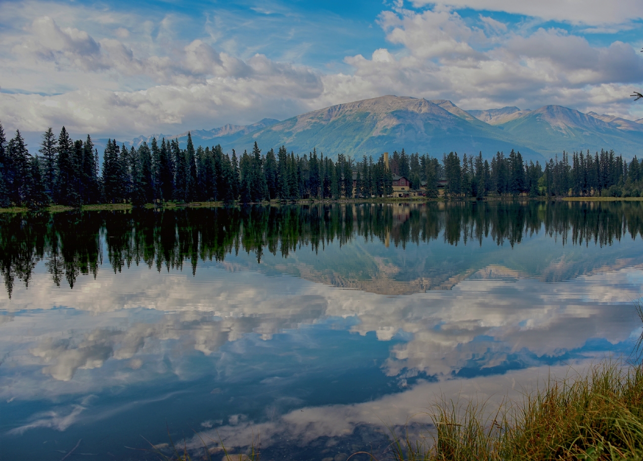 פיני  אביבי