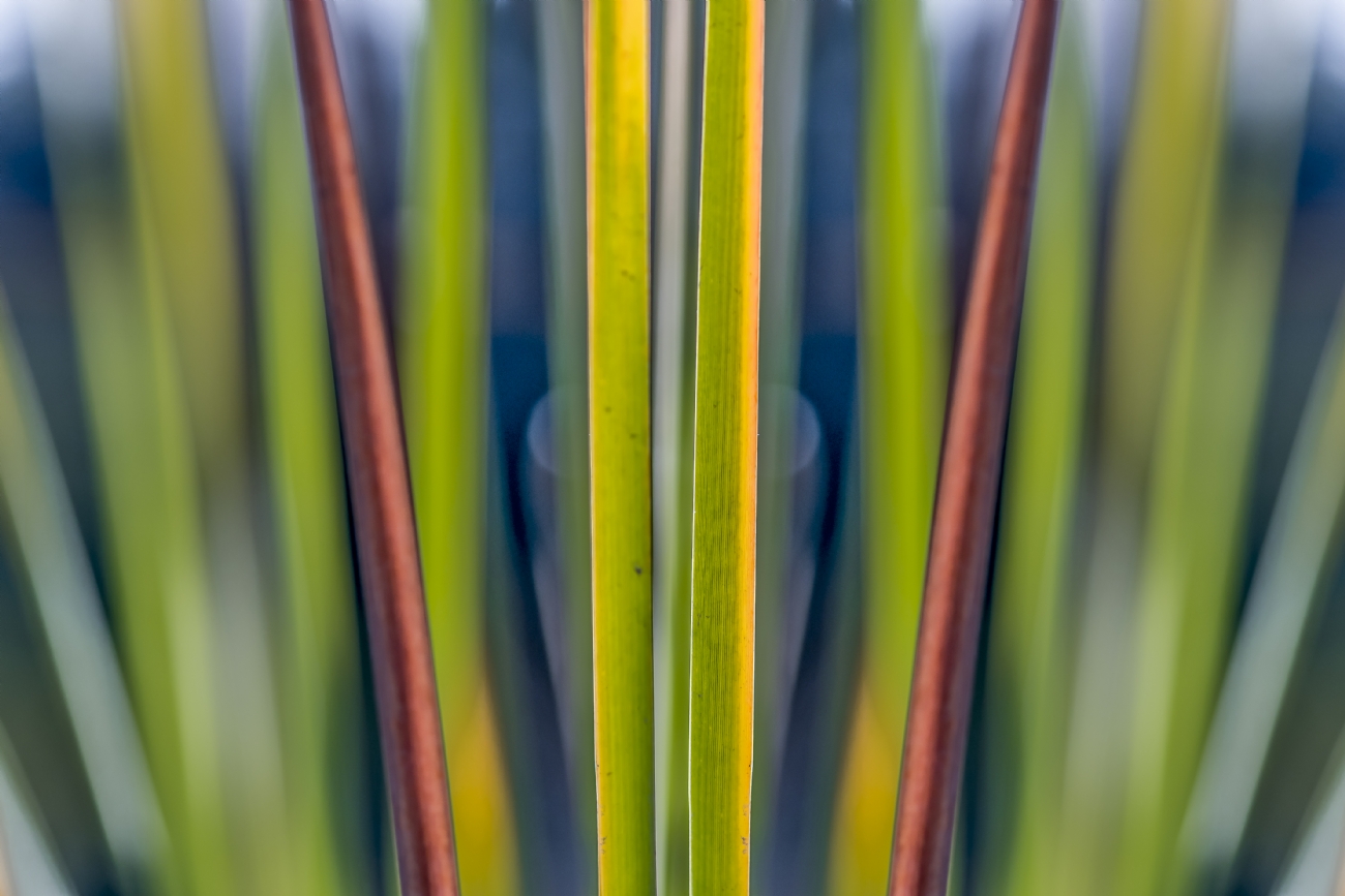 ג׳ורג׳ו פוביני