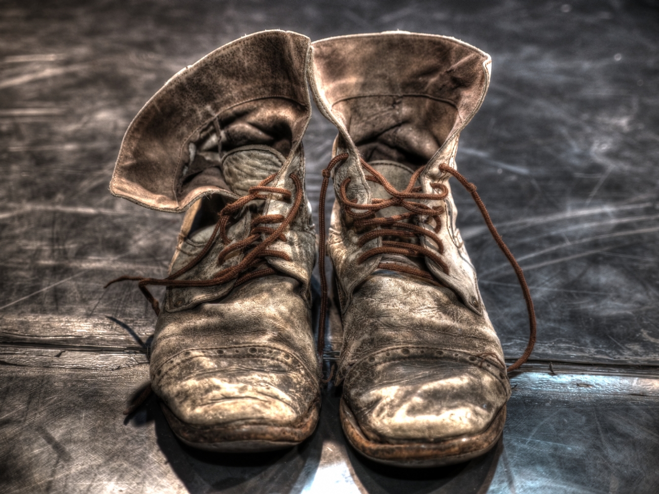 צילום: משה  מלכא