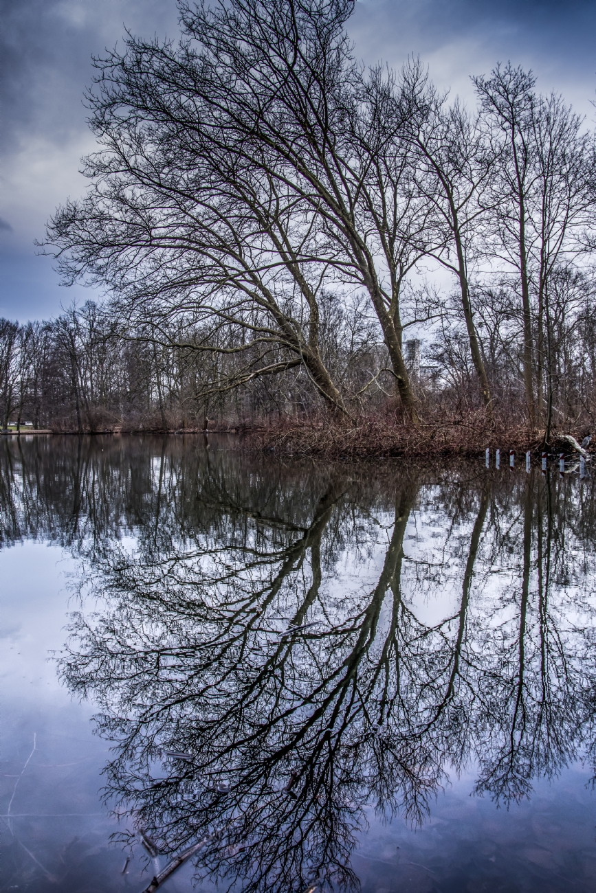 ג׳ורג׳ו פוביני