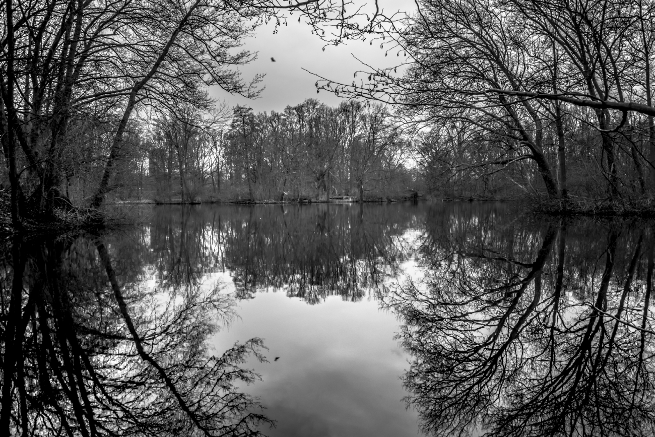 ג׳ורג׳ו פוביני