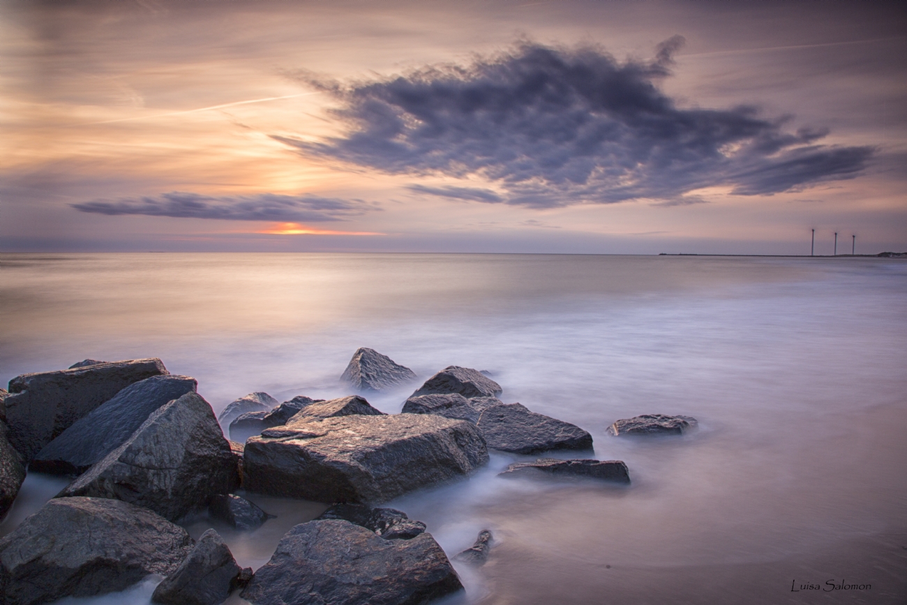 לואיזה סלומון