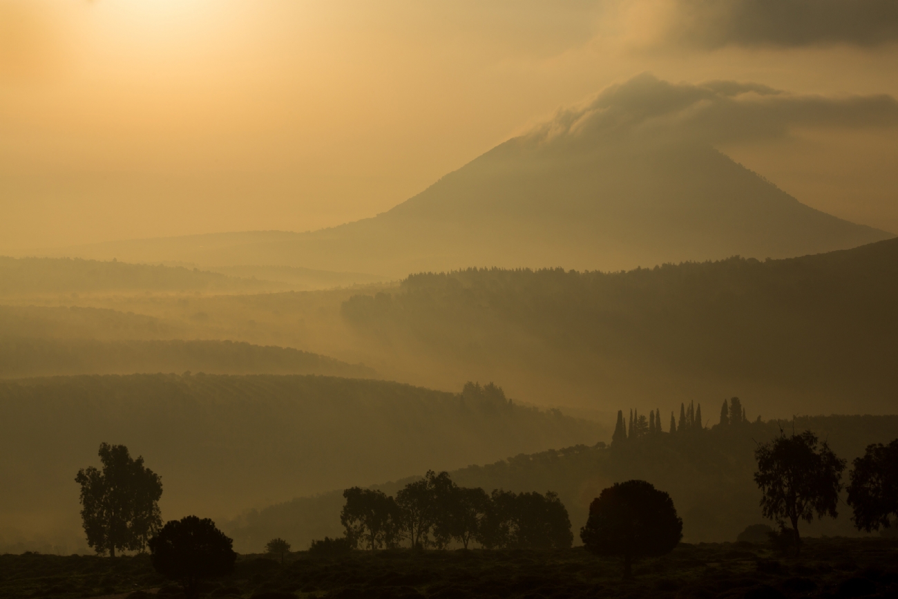 אירית אברמוביץ