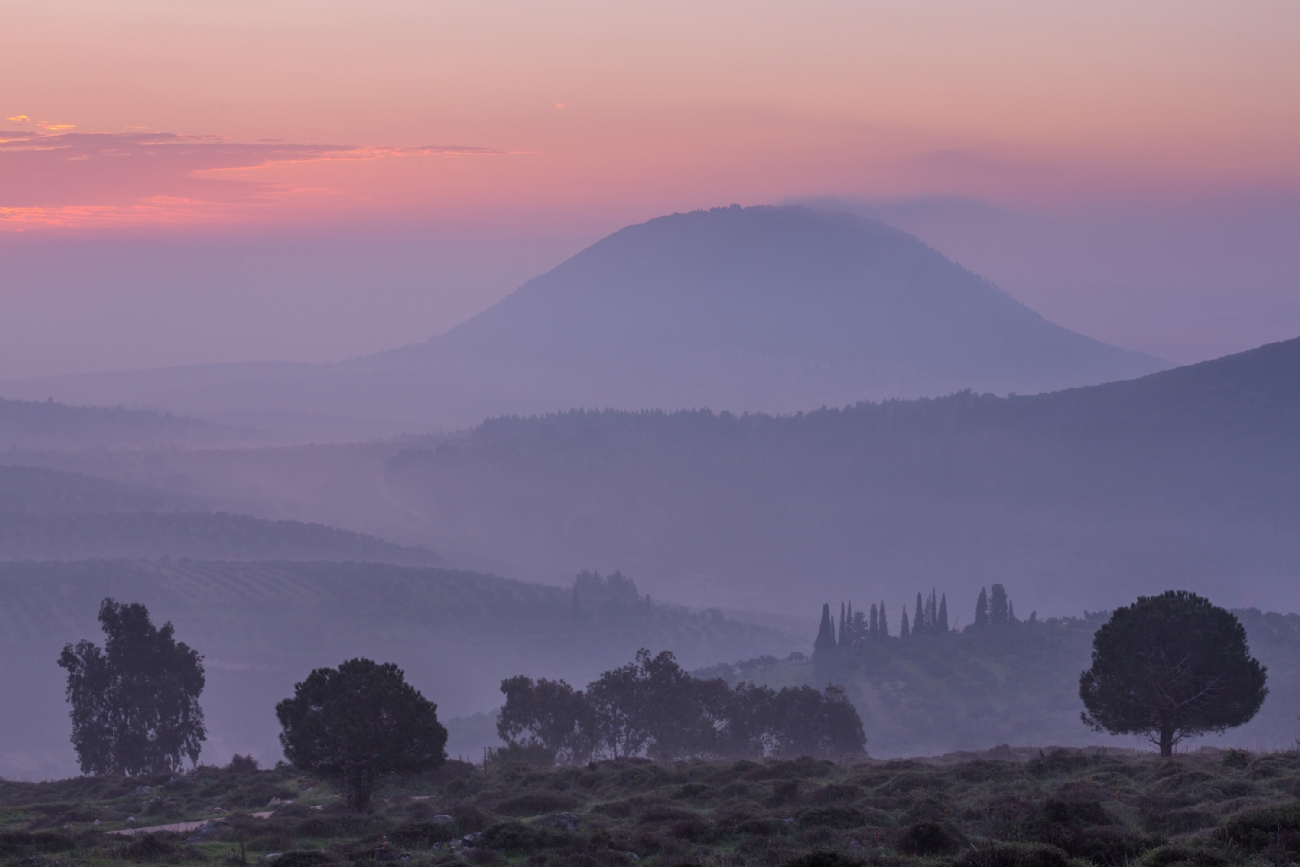 אירית אברמוביץ
