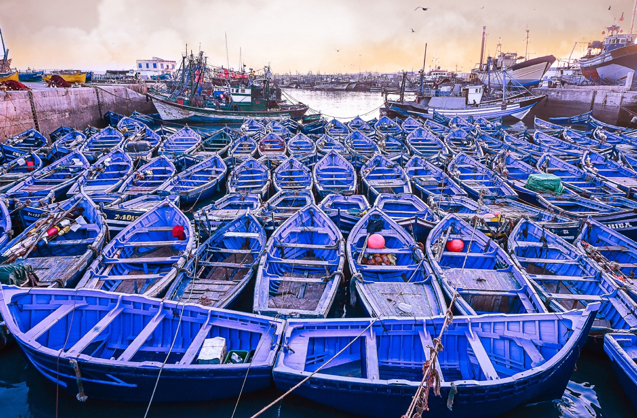 יעקב  בלומנקרנץ