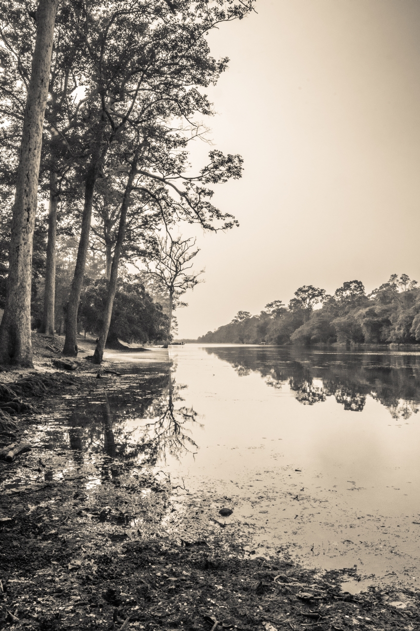 ג׳ורג׳ו פוביני