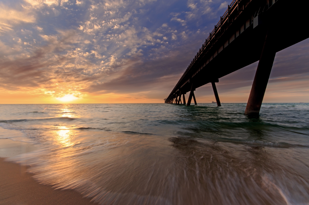 צילום: מוטי פדידה