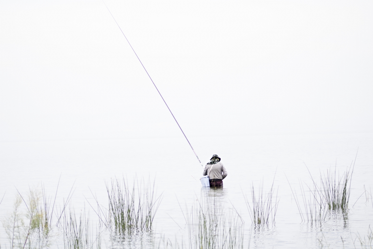 ?נתנאל טויטו?‎