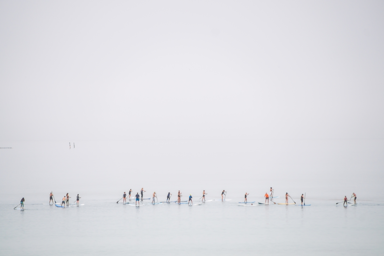 צילום: יהושע רעיף