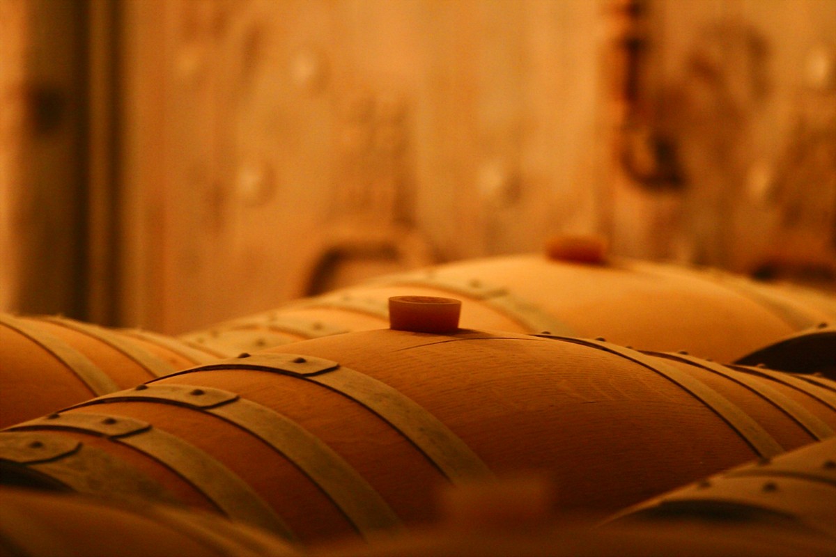 אלי יזרעאלב