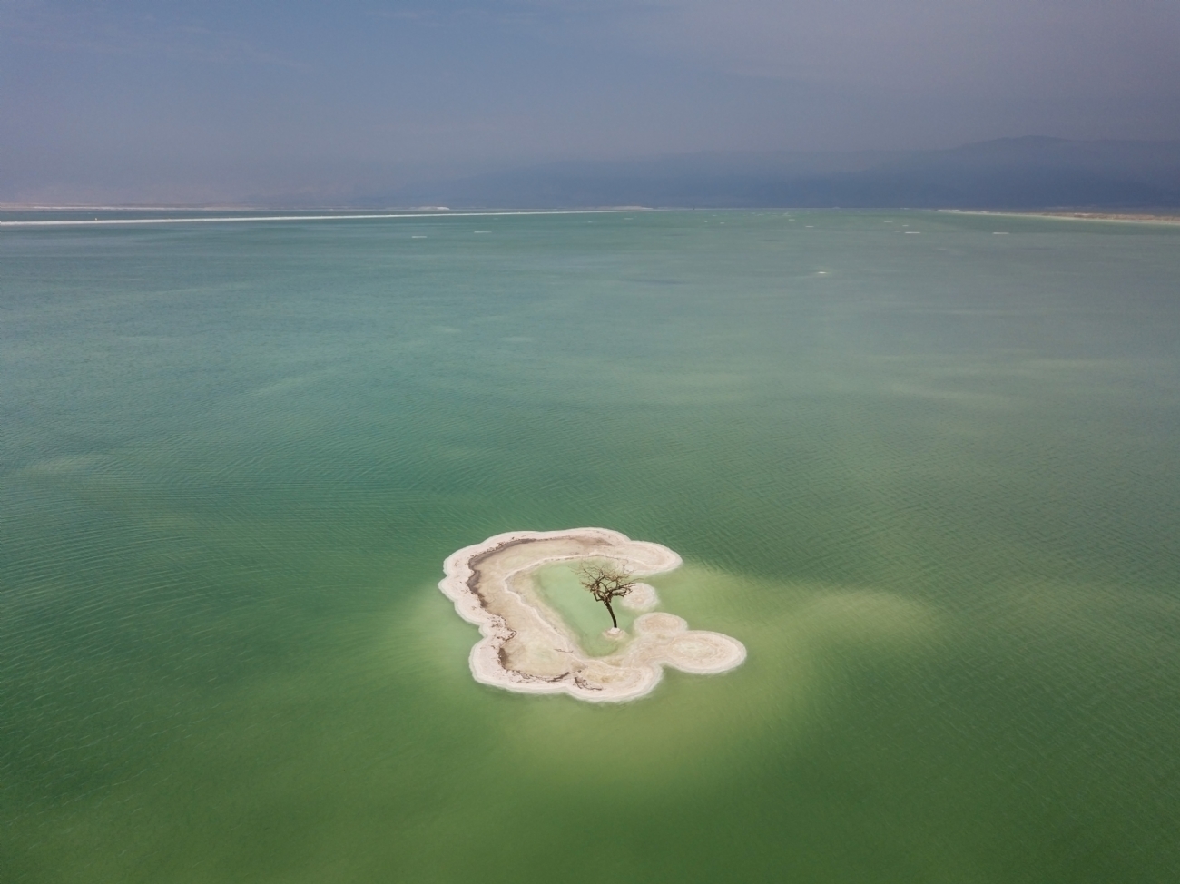 אירית אברמוביץ