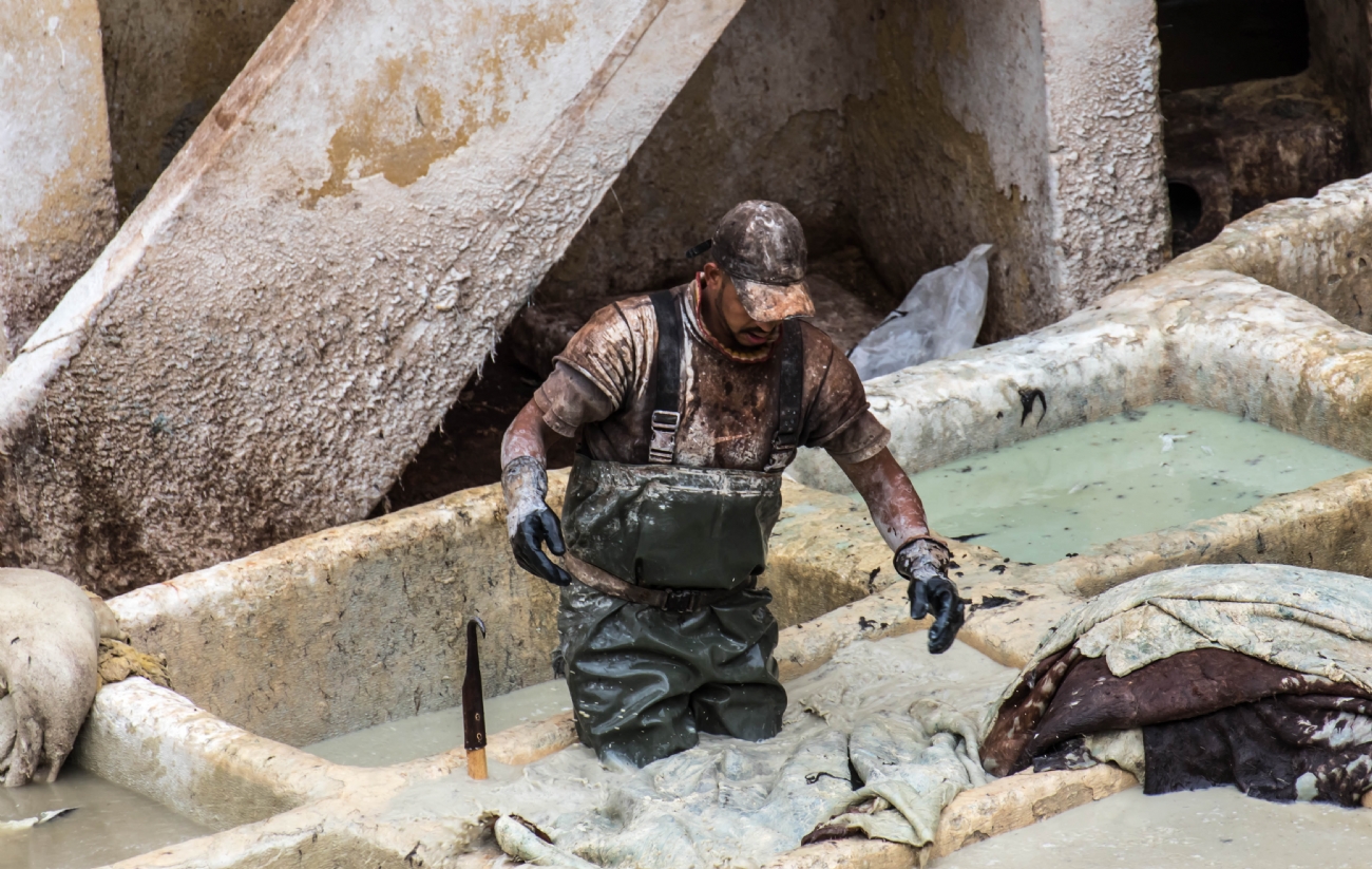 חזי גולדנברג