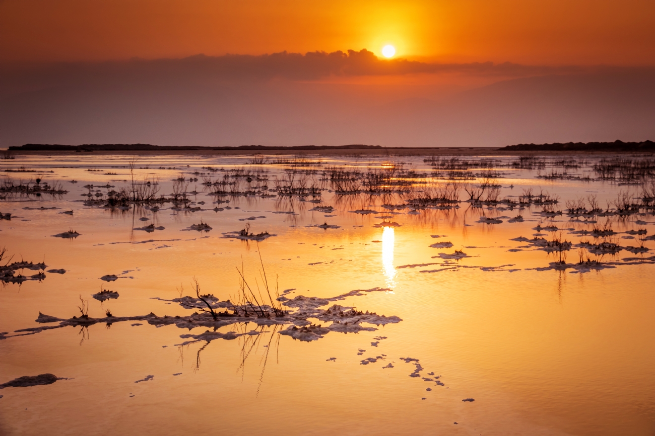 ניקולאי טטרצוק