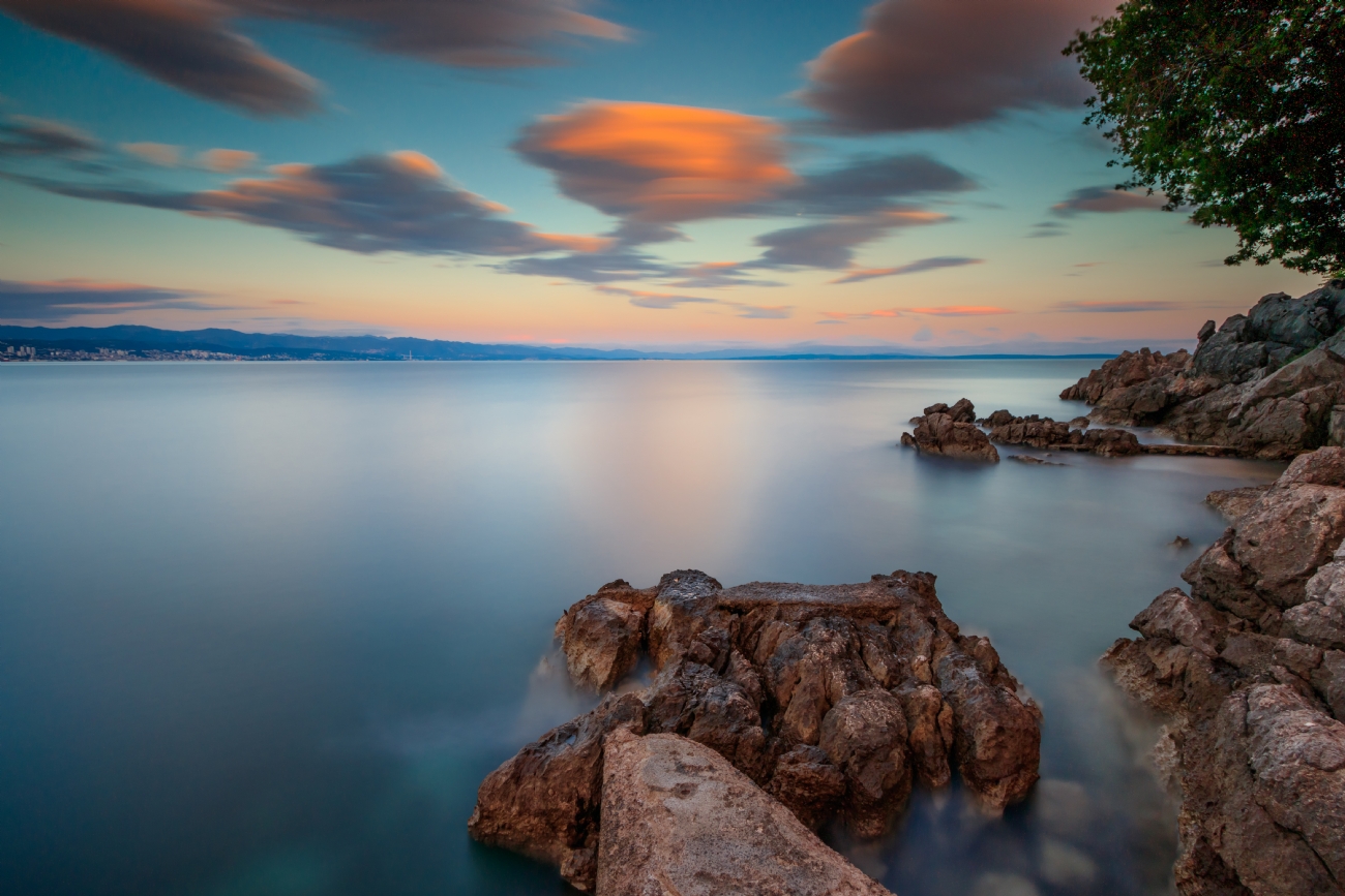 ניקולאי טטרצוק