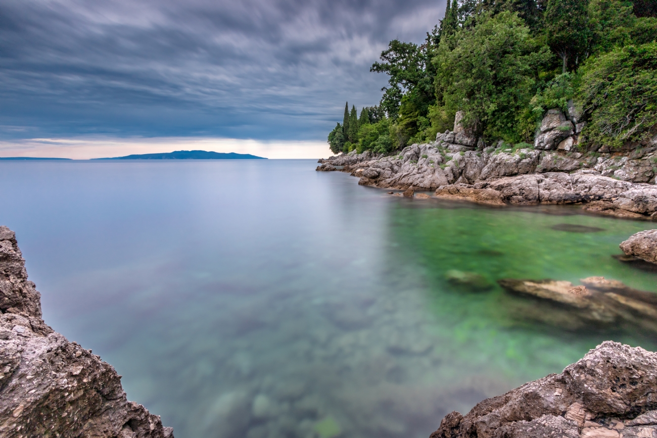 ניקולאי טטרצוק