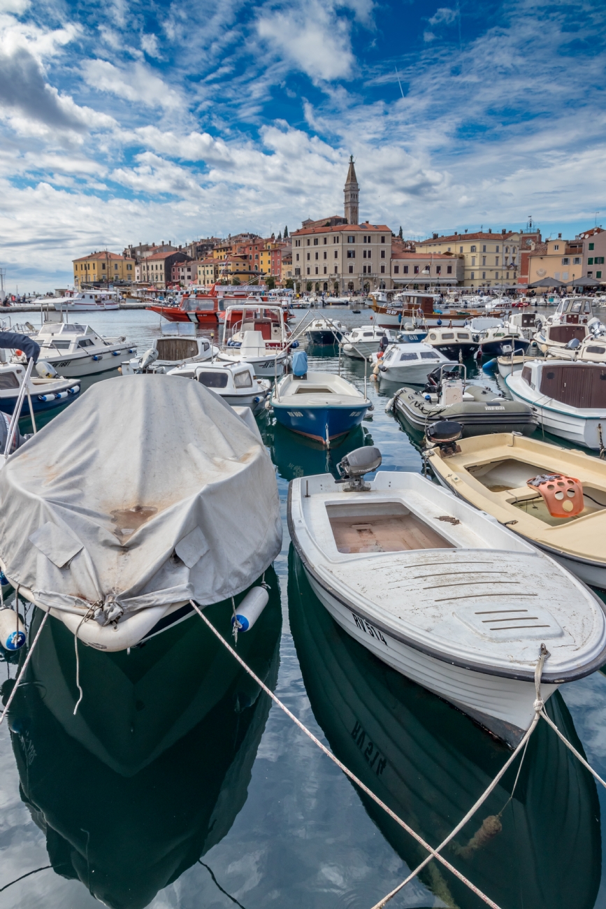 ניקולאי טטרצוק