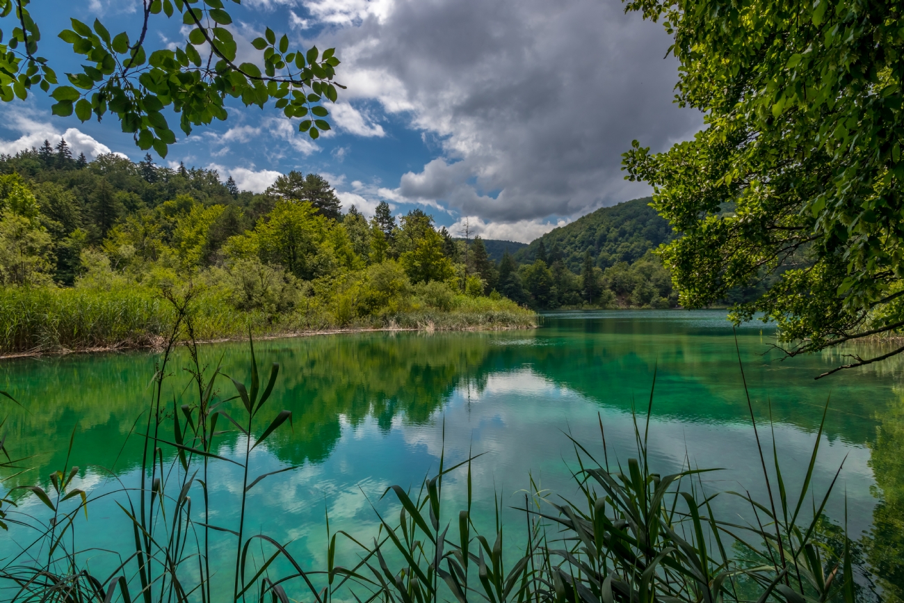 ניקולאי טטרצוק