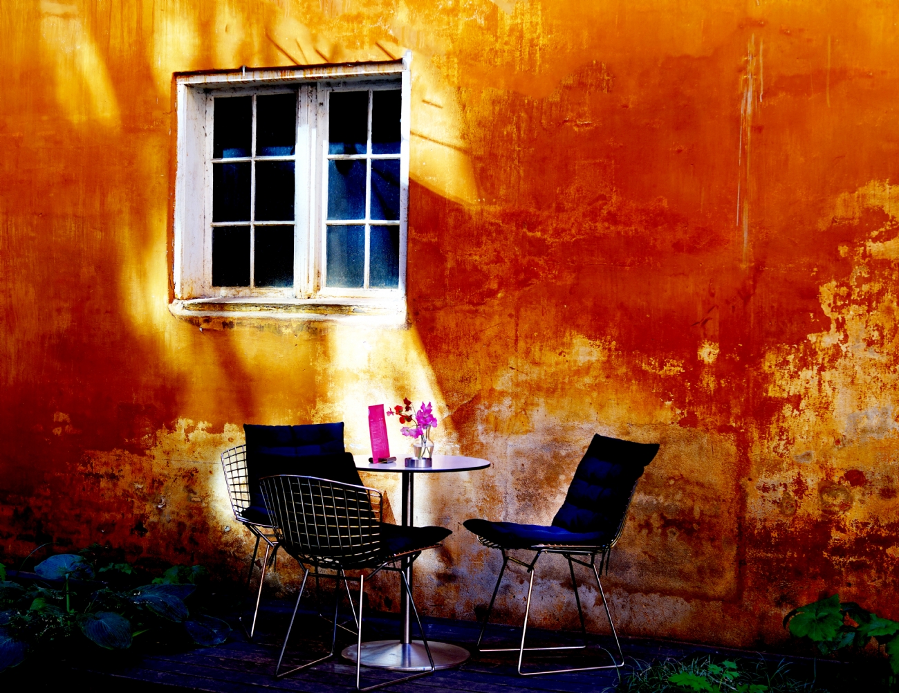 צילום: אורית גפני