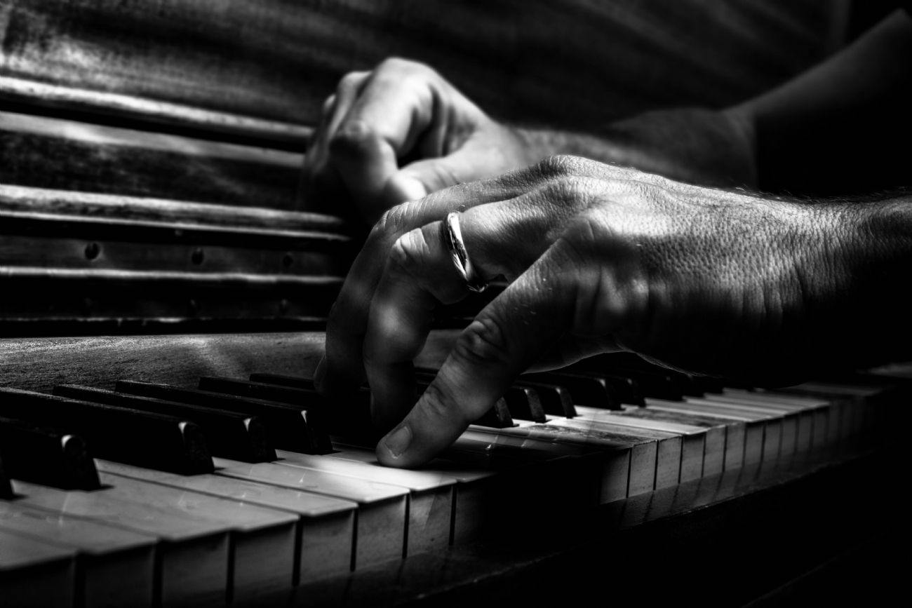 צילום: שי גואטה