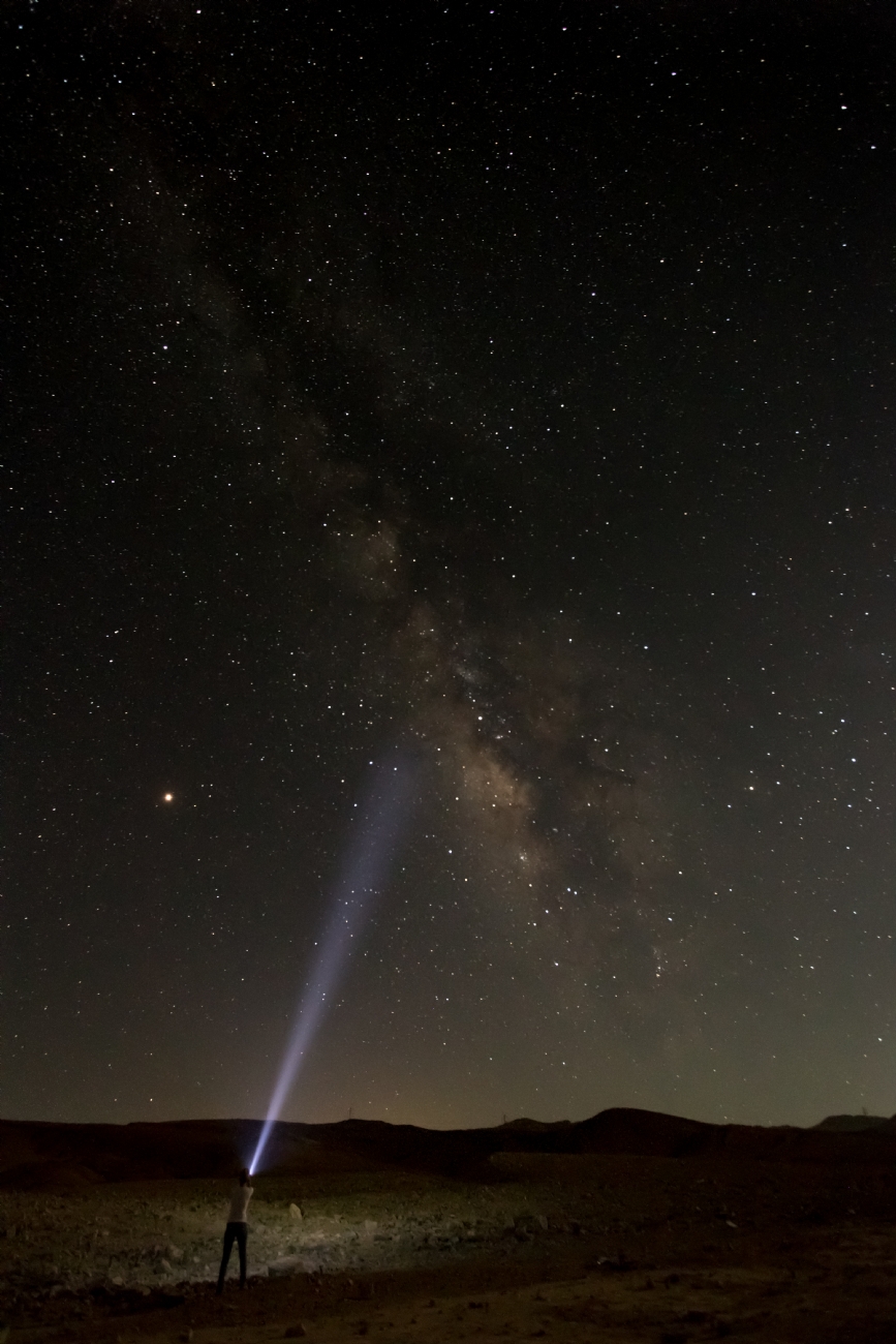 ניקולאי טטרצוק