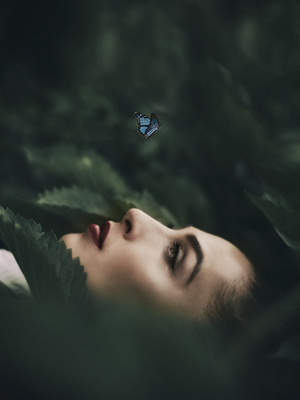 איליה   יעקובר