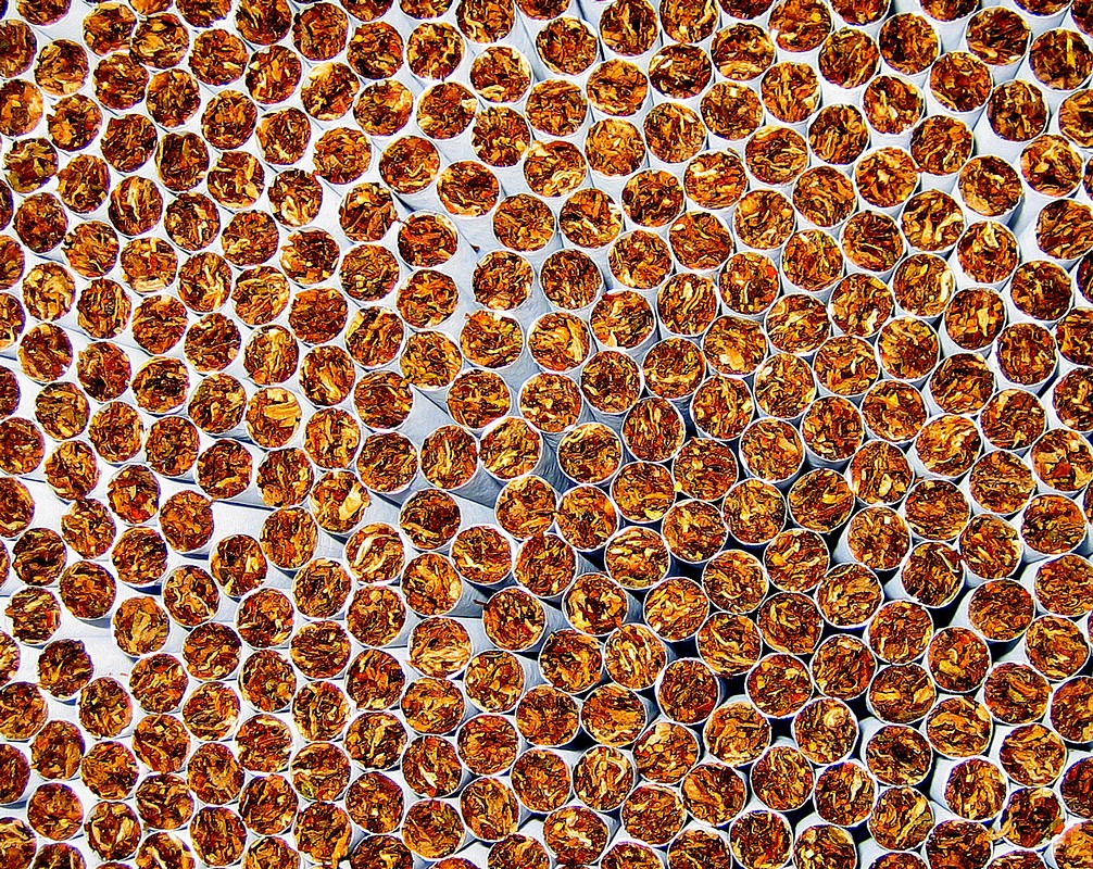 פיני  אביבי