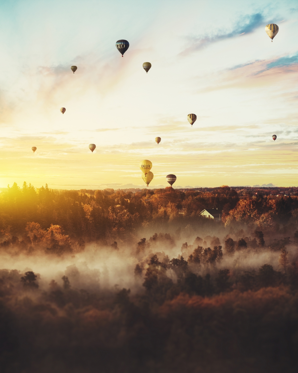צילום: איליה   יעקובר