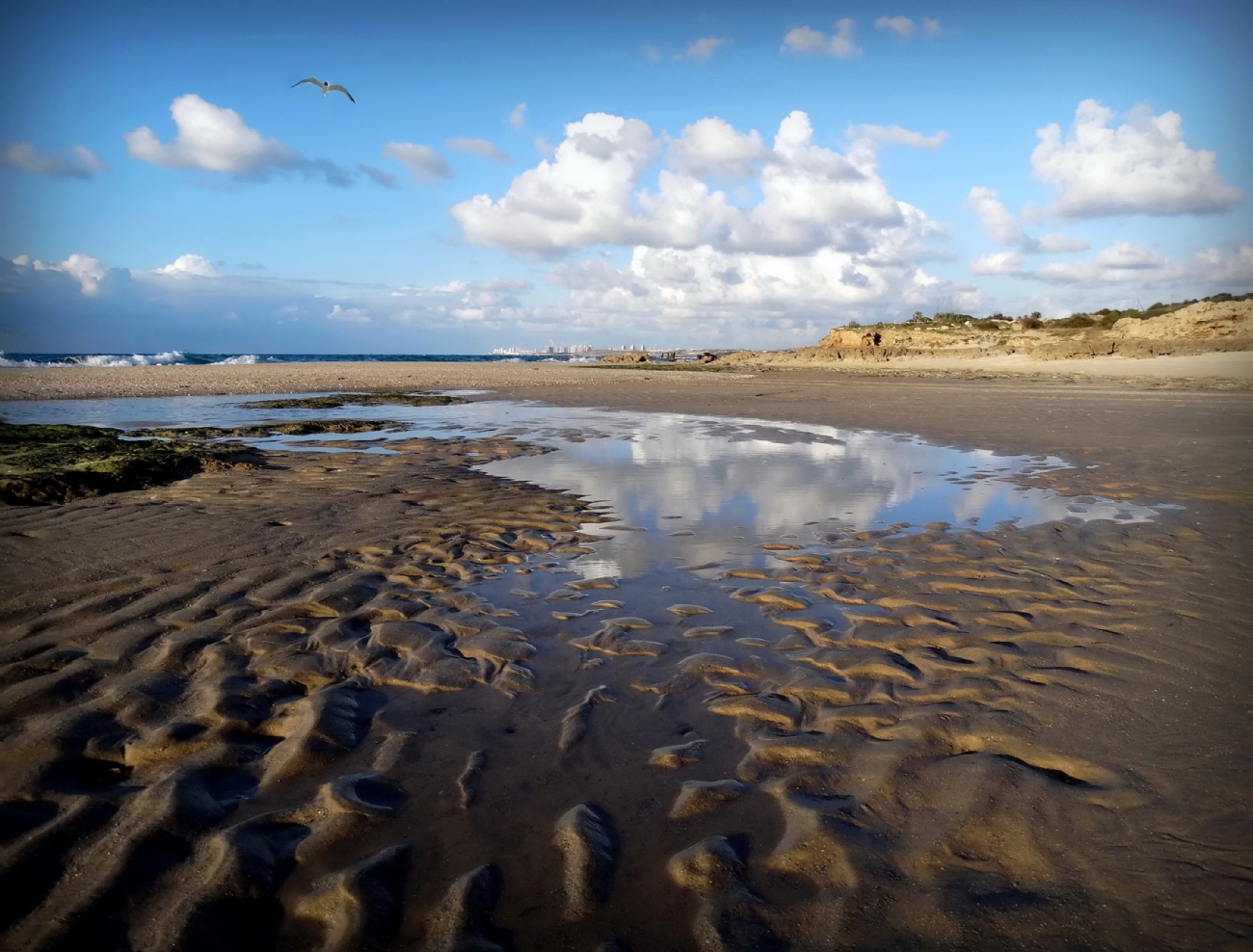 נאוה פמיליה