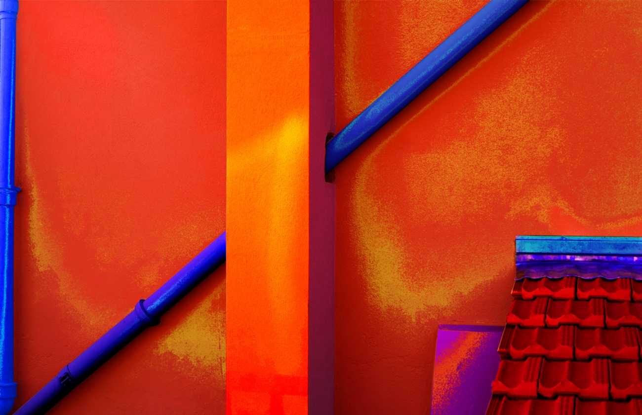 צילום: אורית גפני