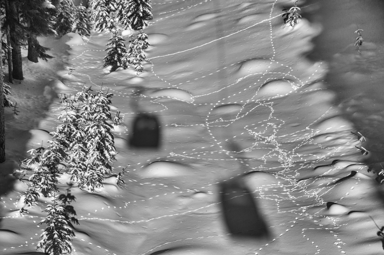 צילום: יהושע רעיף