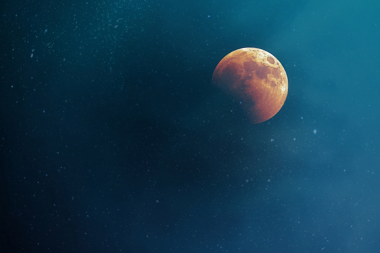 ולדימיר ברנבוים