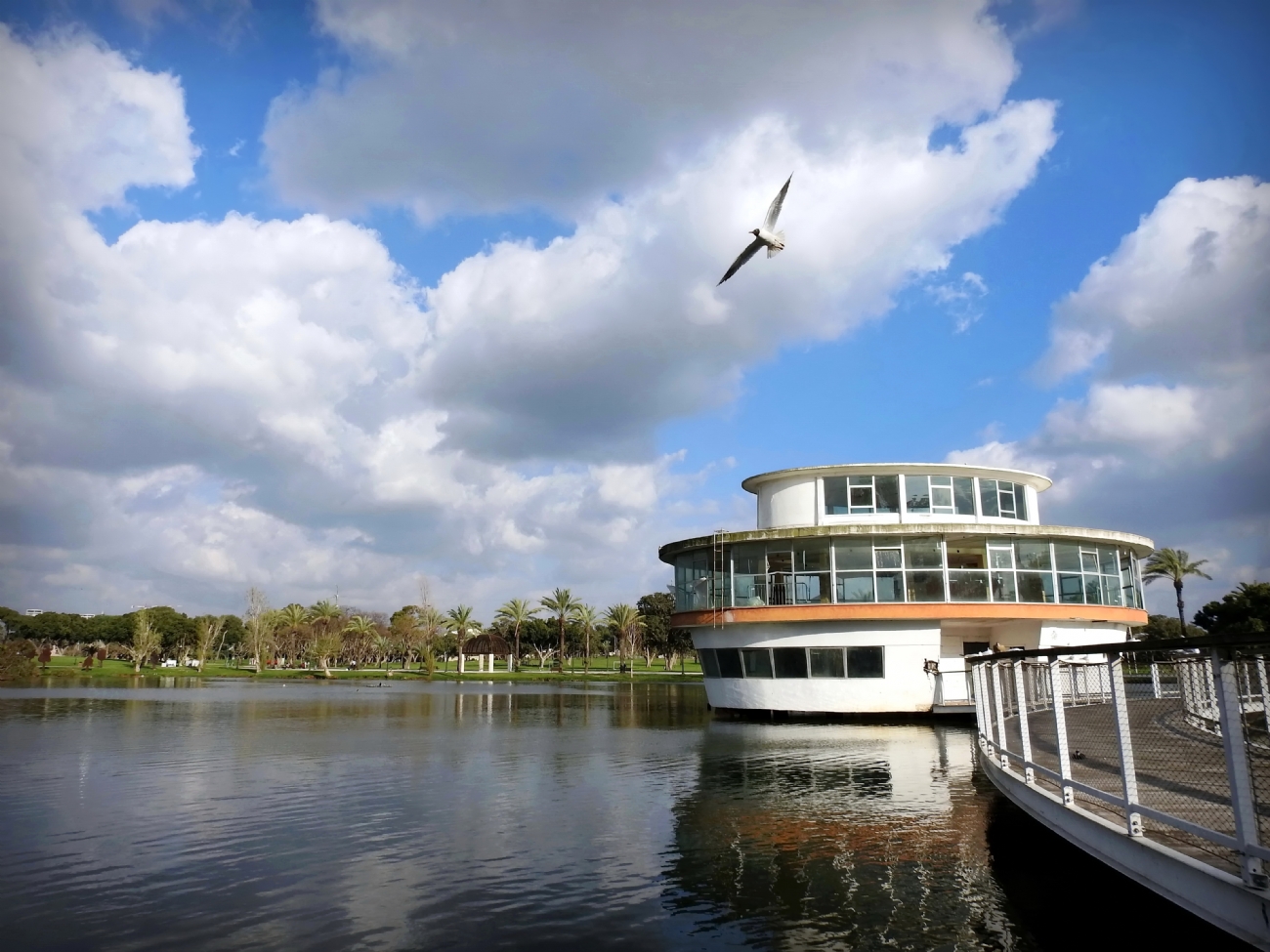 נאוה פמיליה